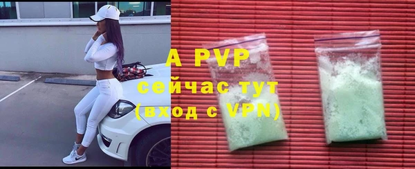 индика Арсеньев