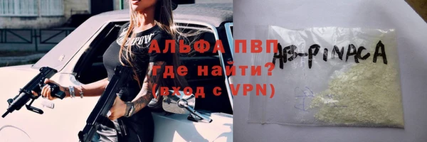 индика Арсеньев