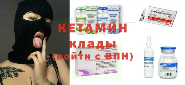индика Арсеньев