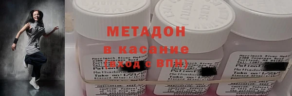 индика Арсеньев