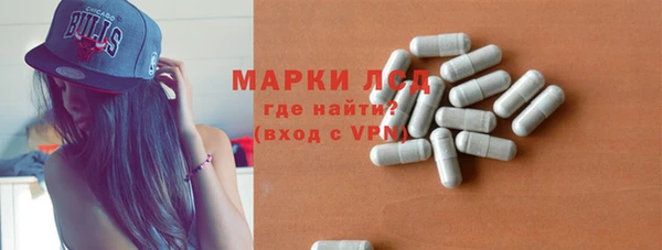 индика Арсеньев