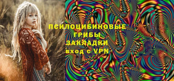 спиды Аркадак