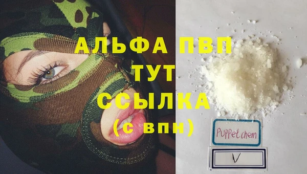 индика Арсеньев