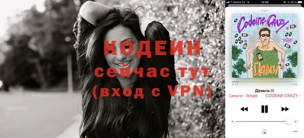 индика Арсеньев